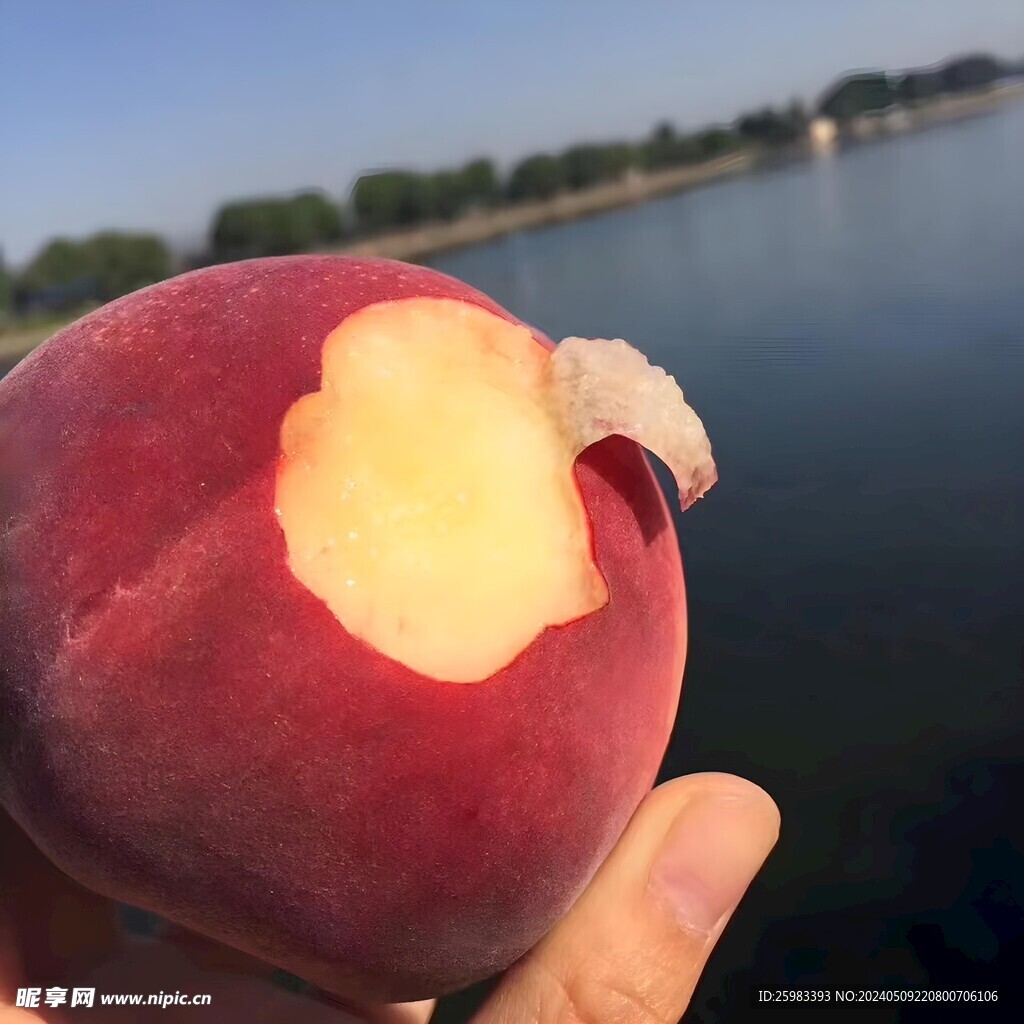 水蜜桃 