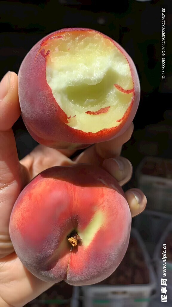 水蜜桃 
