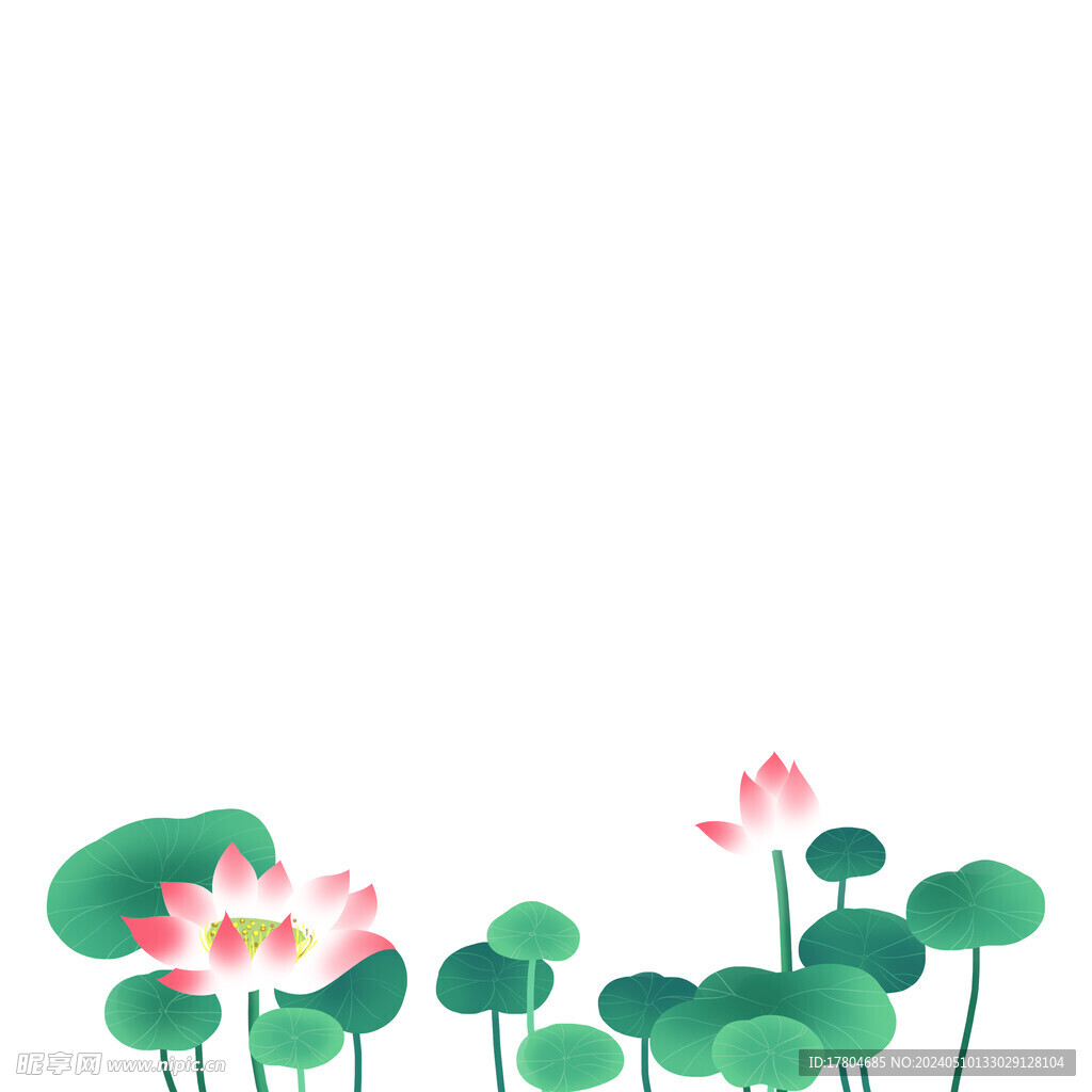 荷花素材