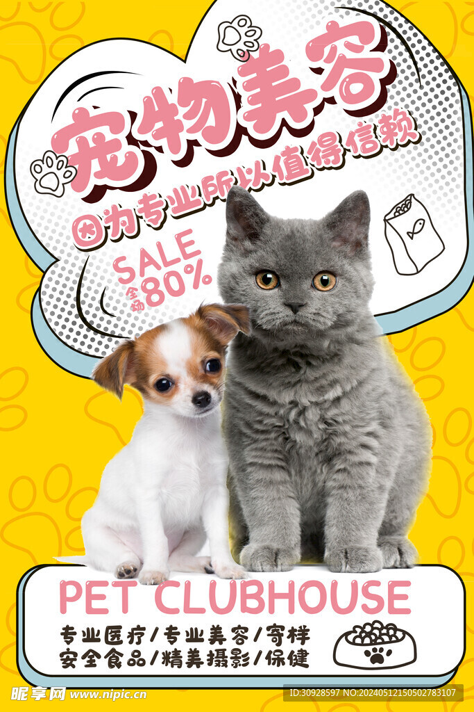 宠物海报