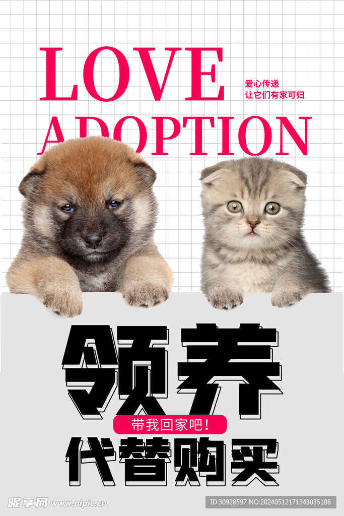 宠物海报
