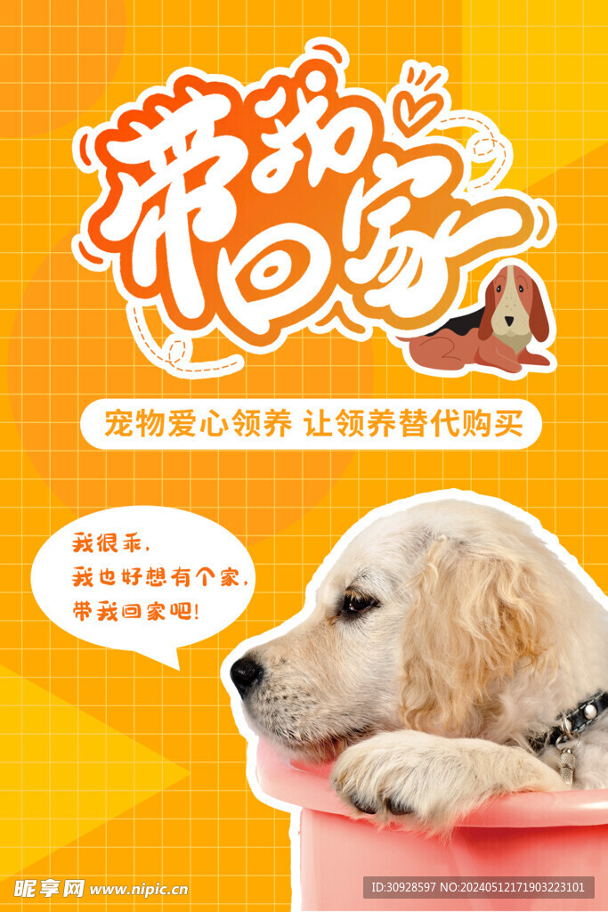 宠物海报