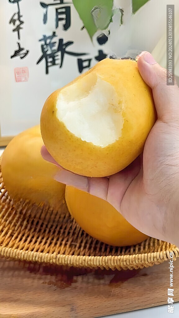 雪梨