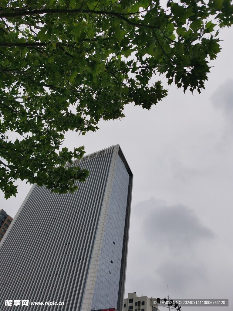 城市大楼