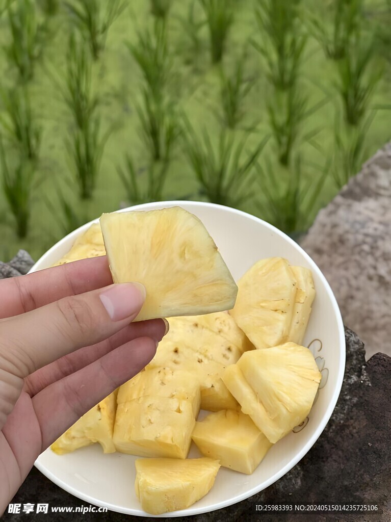 菠萝