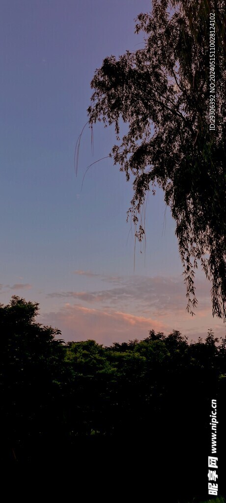 美景   
