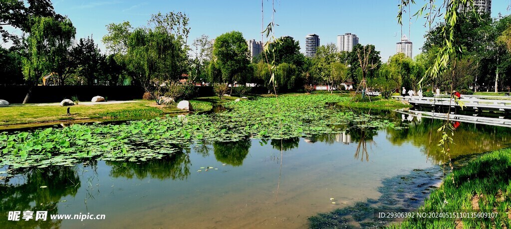湖水 
