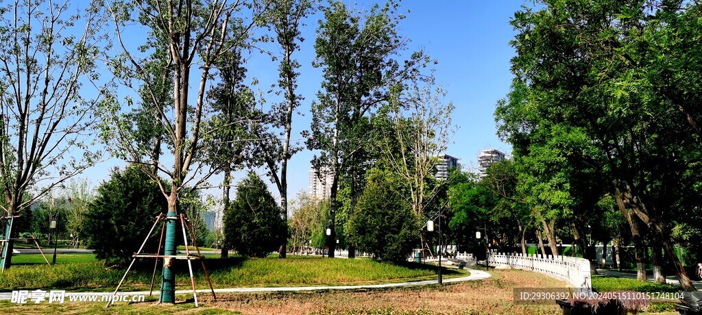 美景    