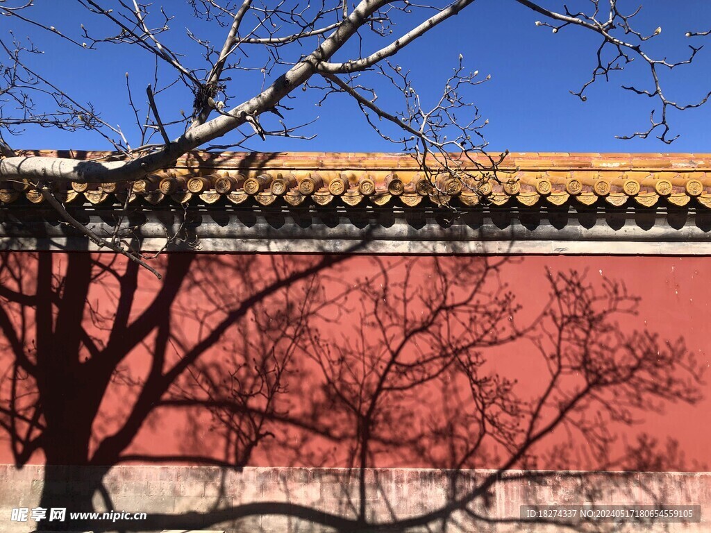 故宫古建红墙古树
