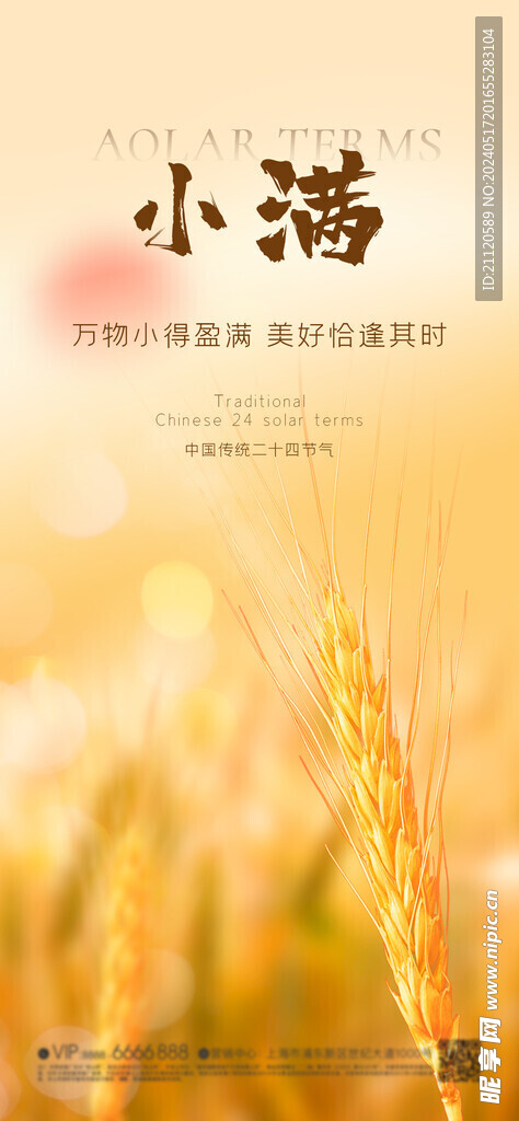 小满 芒种 节气海报