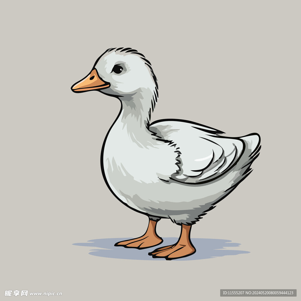 可爱小鸭矢量卡通画儿童插画