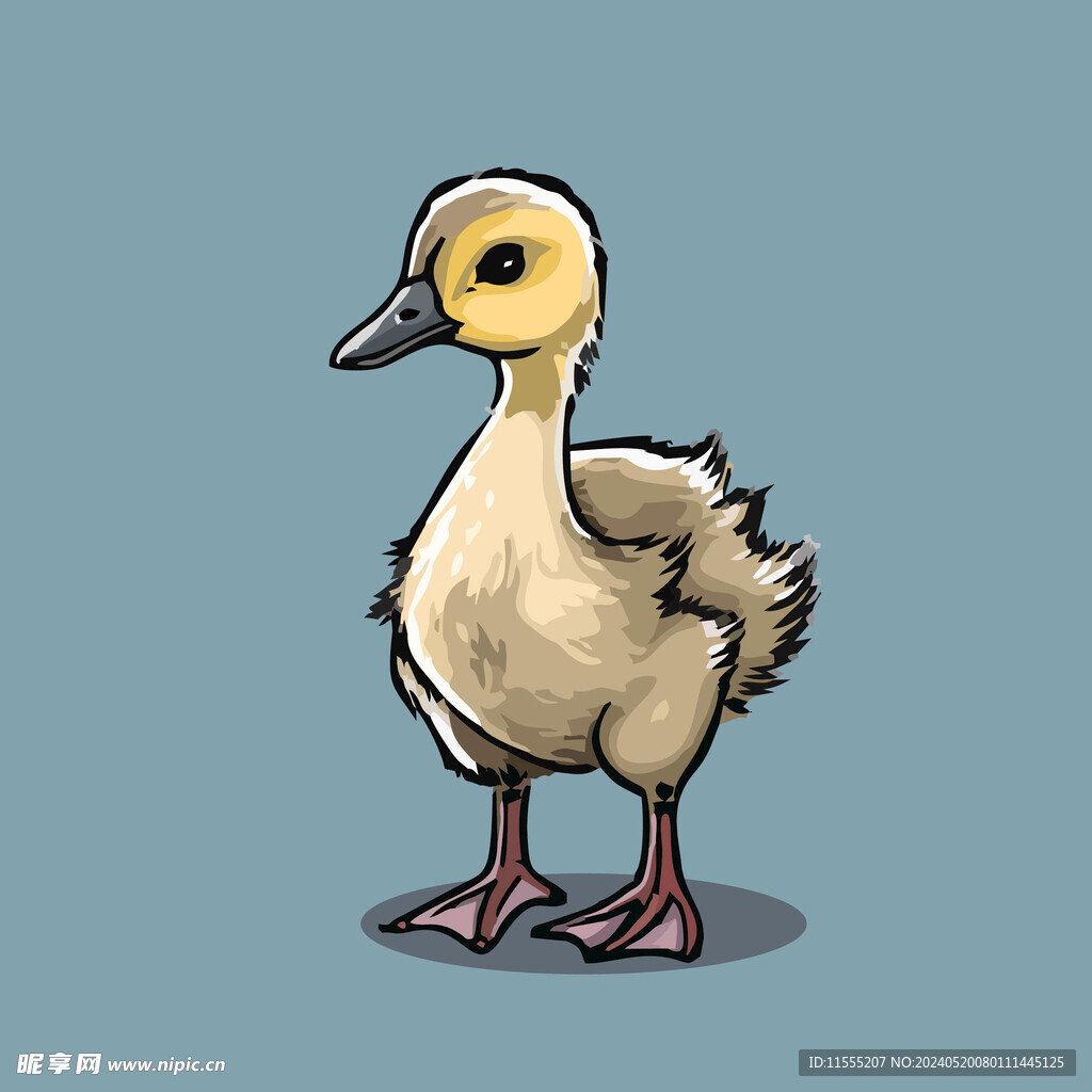 可爱小鸭矢量卡通画儿童插画