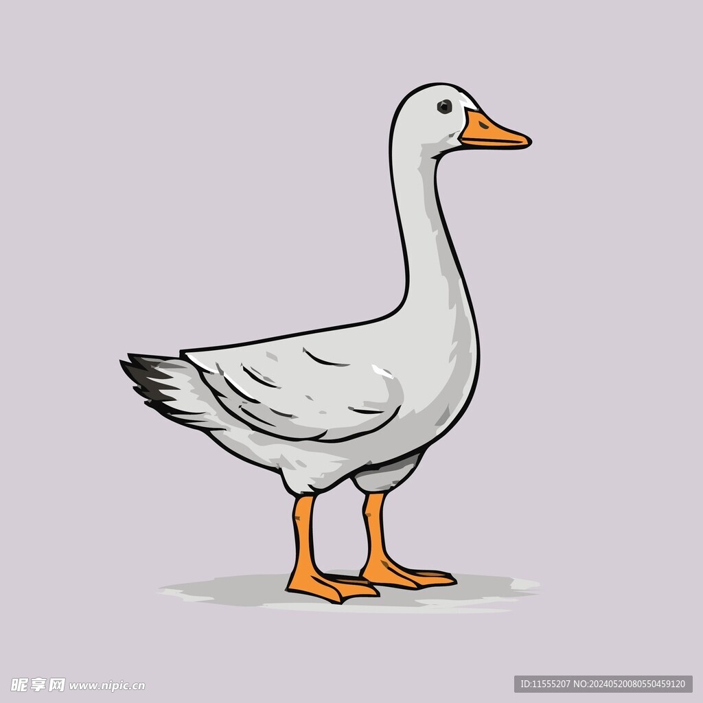 可爱小鸭矢量卡通画儿童插画