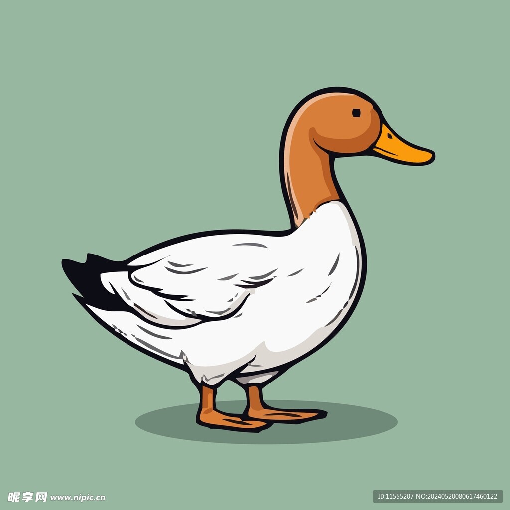 可爱小鸭矢量卡通画儿童插画