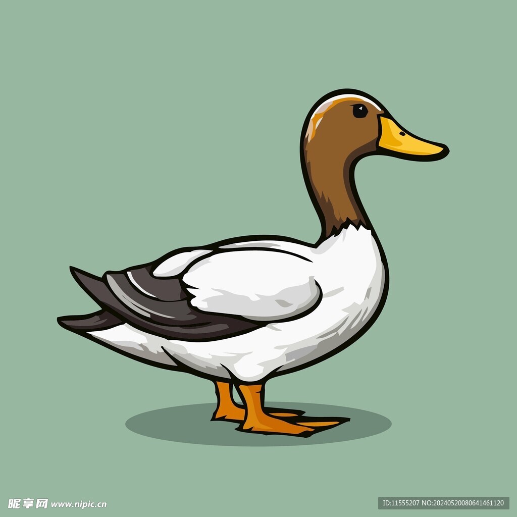 可爱小鸭矢量卡通画儿童插画