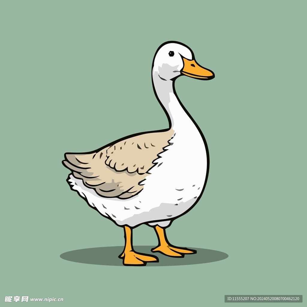 可爱小鸭矢量卡通画儿童插画