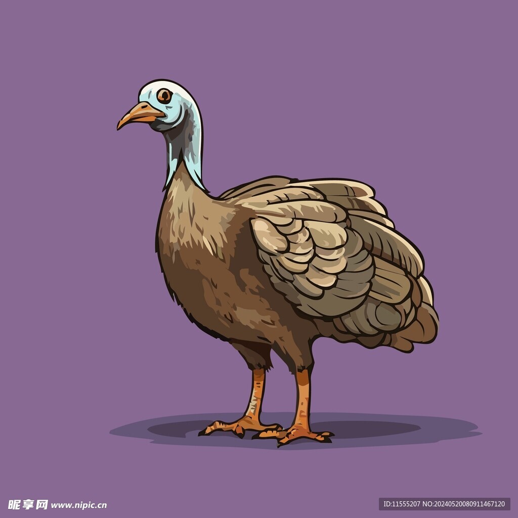 可爱野鸡矢量卡通画儿童插画