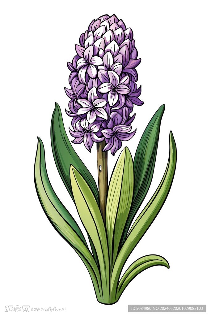 木雕风格风信子