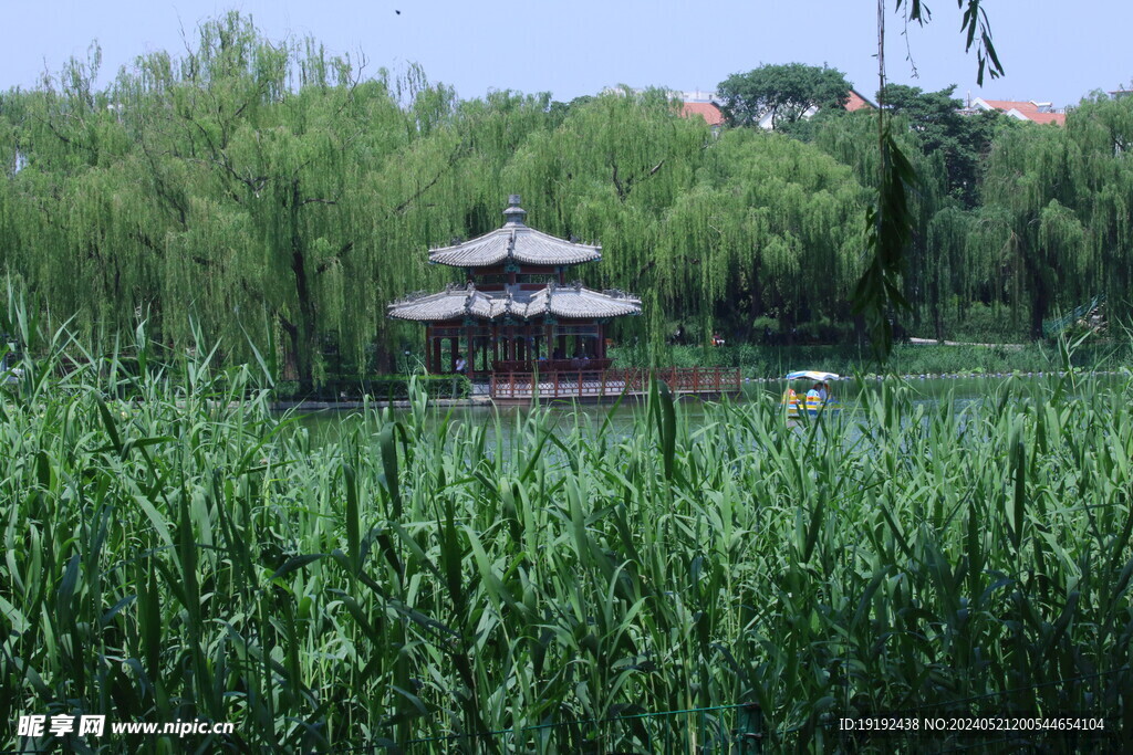 公园风景 