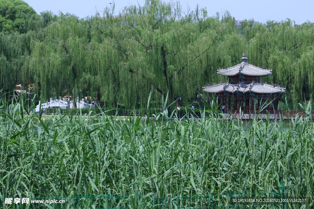 公园风景 
