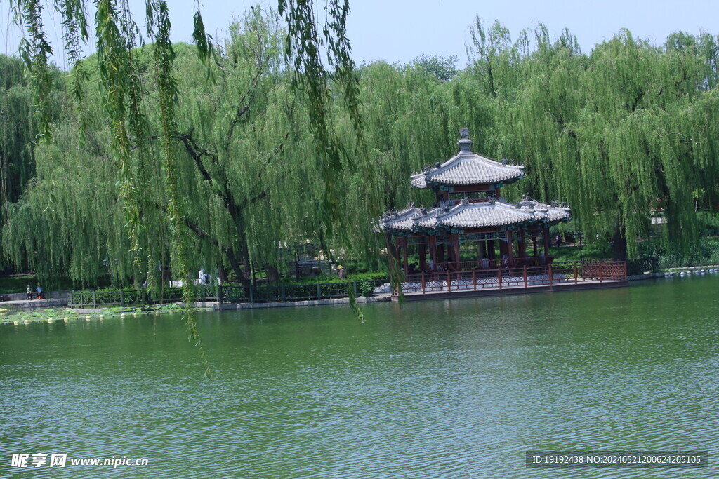 公园风景 