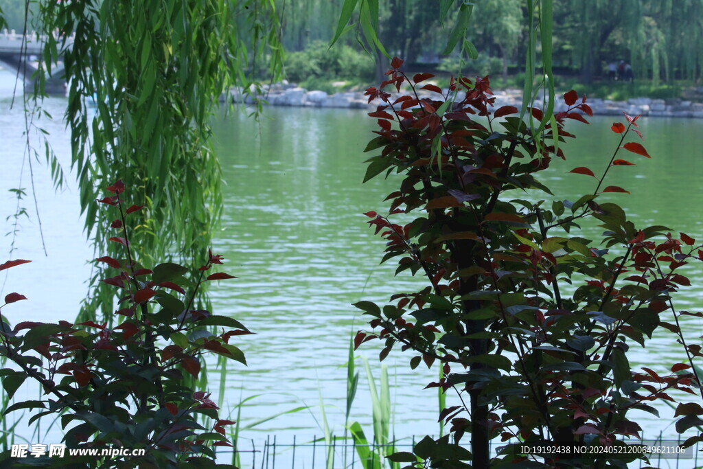 公园风景 