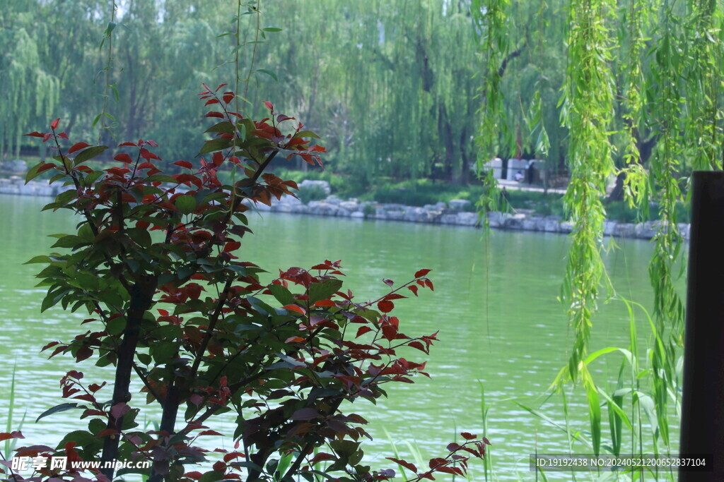 公园风景  