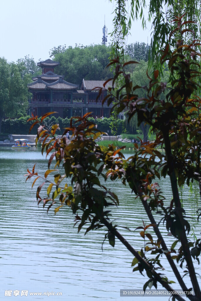 公园风景 