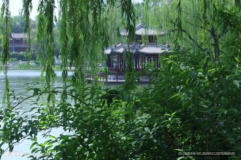 公园风景  