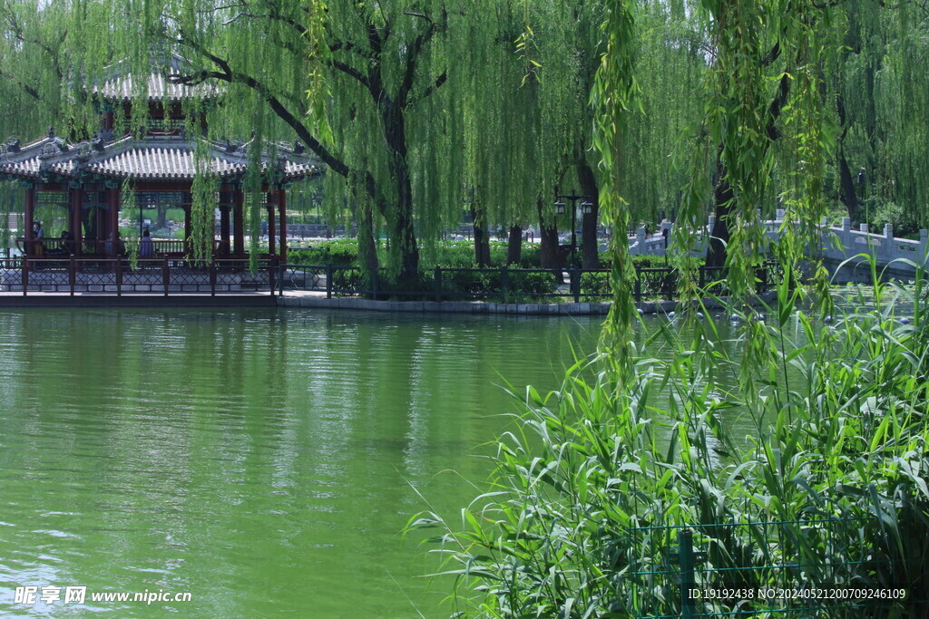 公园风景  