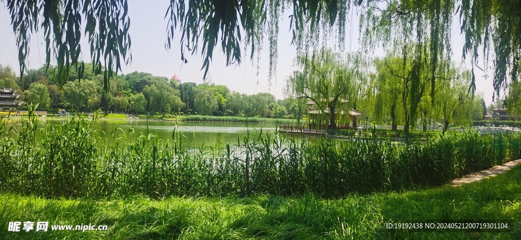 公园风景  