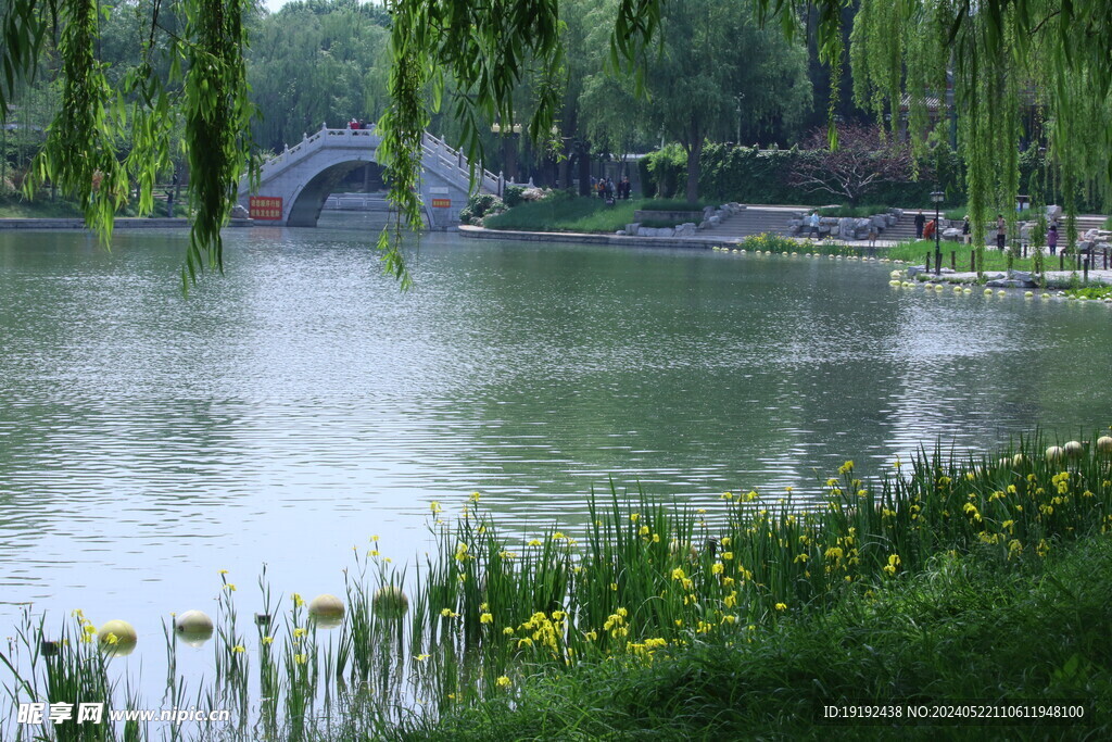公园风景 