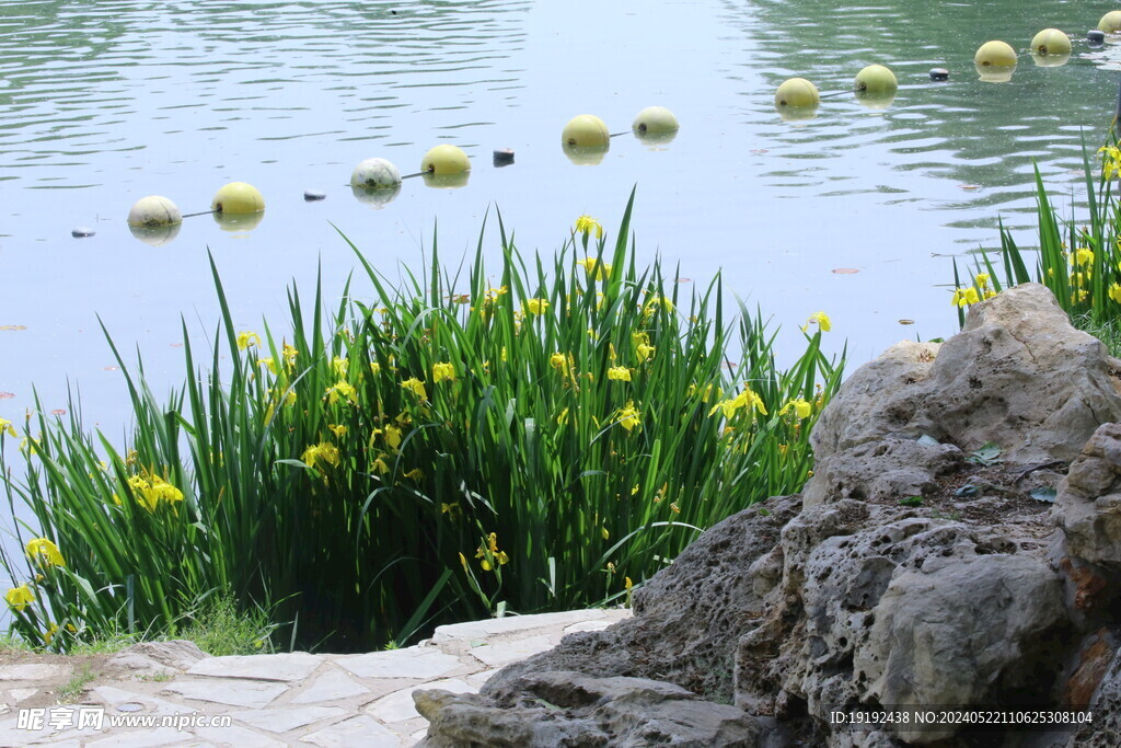 公园风景  