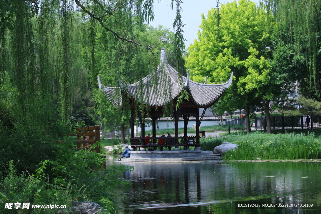 公园风景  