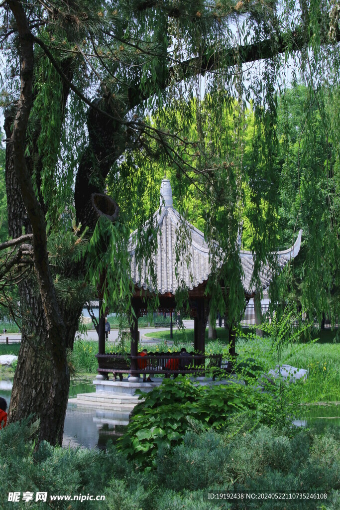 公园风景  