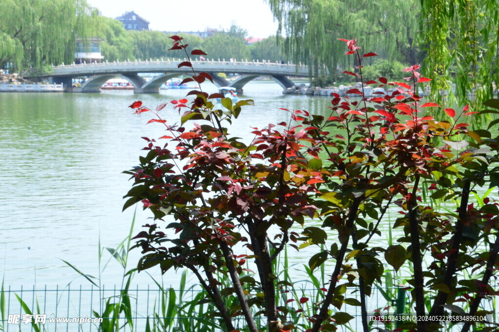 公园风景