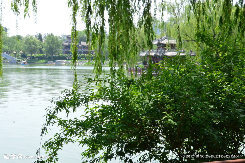 公园风景 