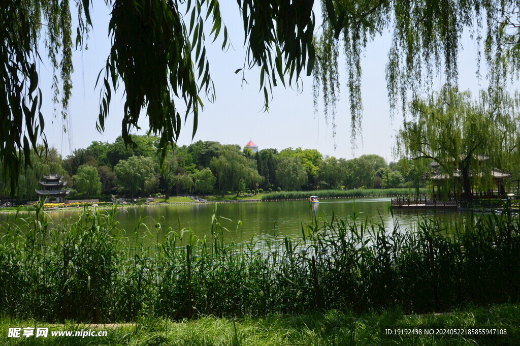 公园风景 