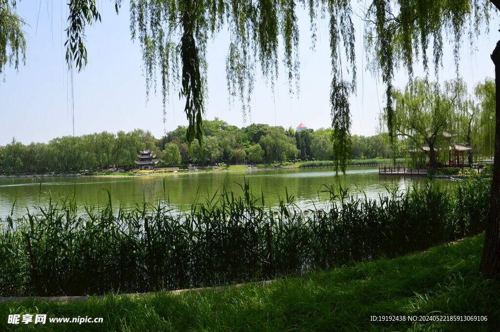 公园风景 