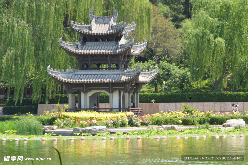 公园风景  