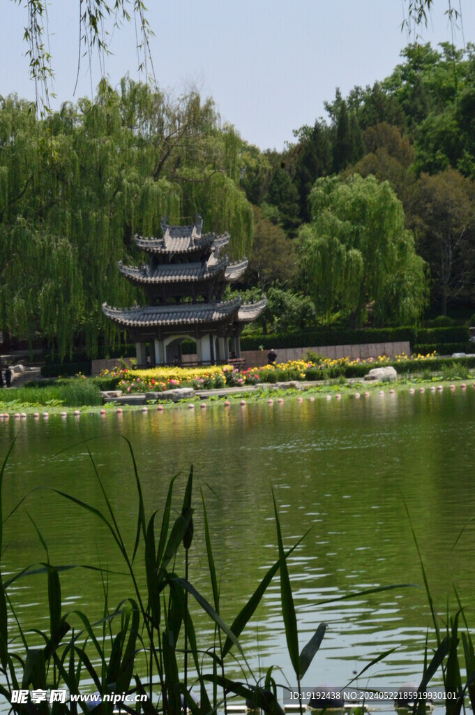 公园风景
