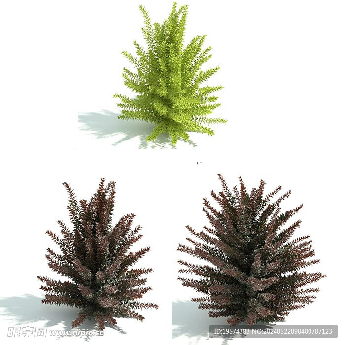 C4D模型 绿色植物