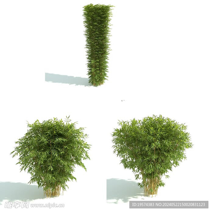 C4D模型 绿色植物