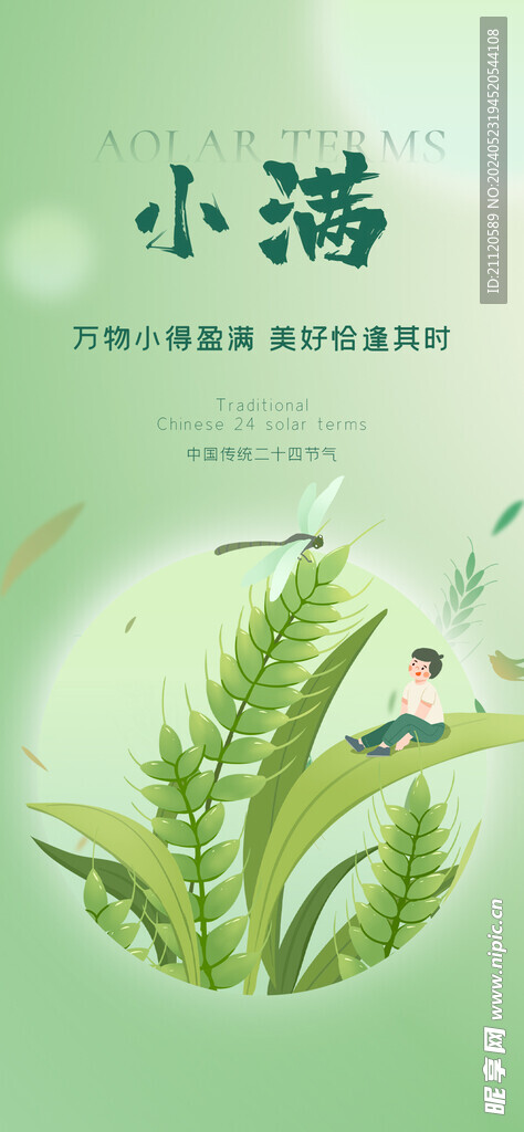 小满 节气海报