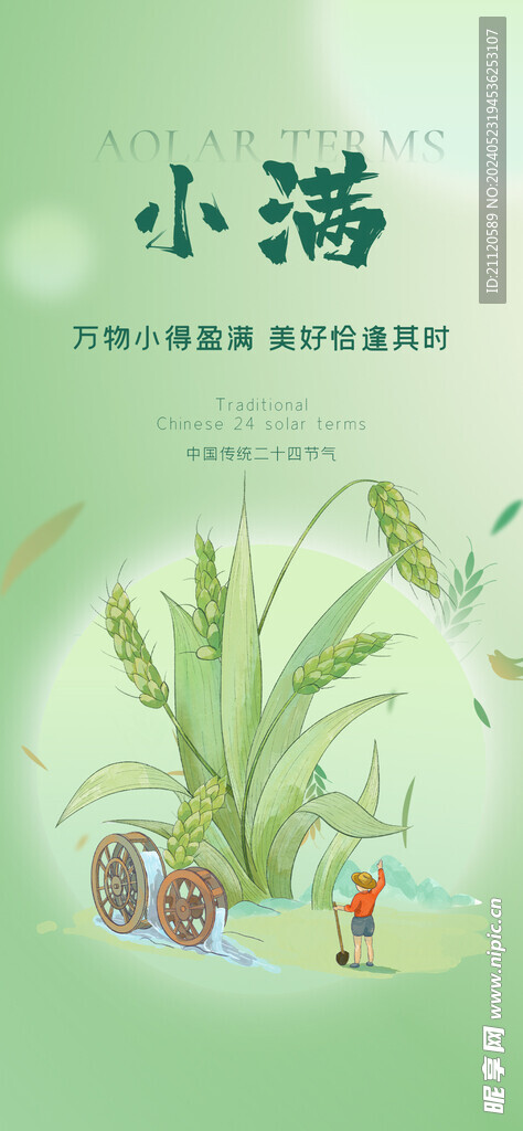 小满 节气海报