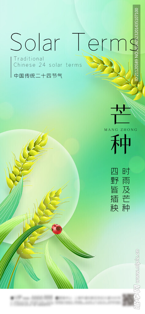 芒种 节气海报