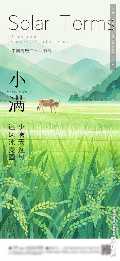 小满 节气海报