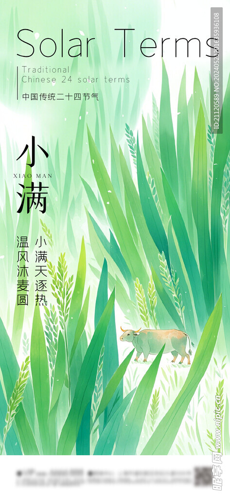 小满 节气海报