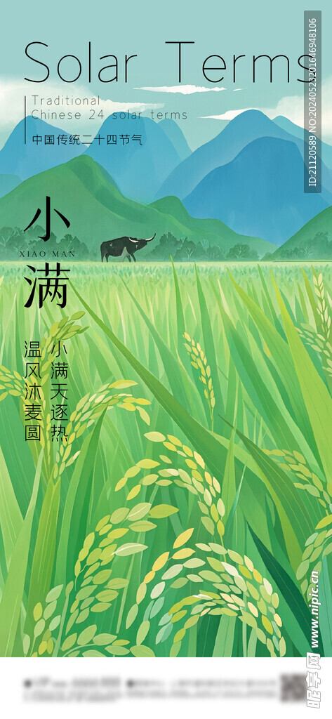 小满 节气海报