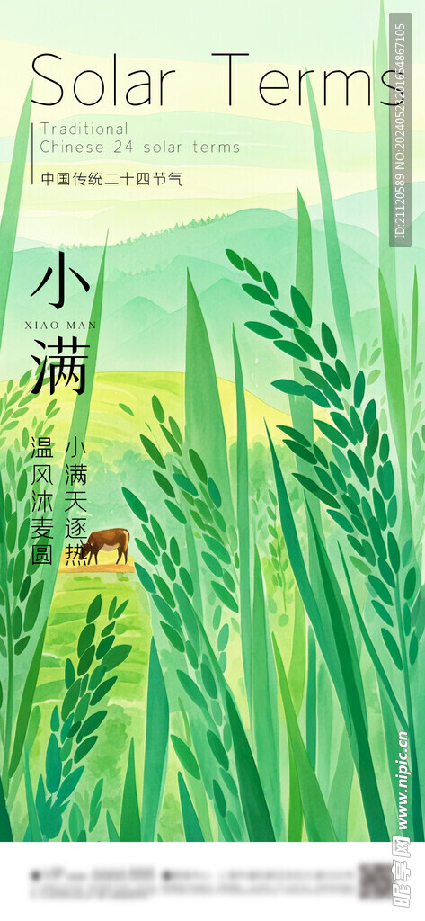 小满 节气海报